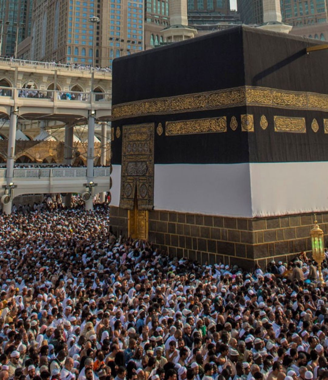 banner-image